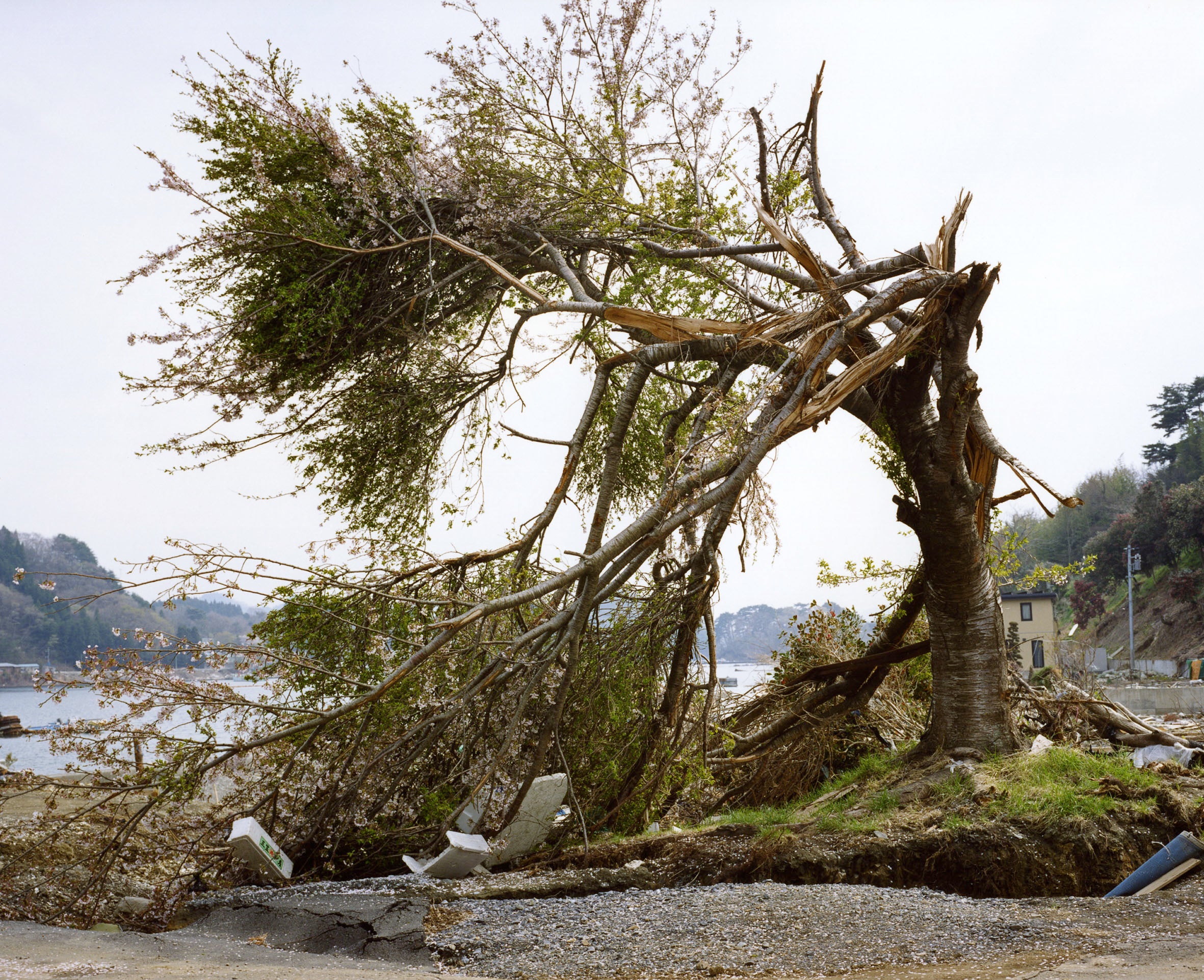 RENCONTRE AVEC NAOYA HATAKEYAMA ET MARC FEUSTEL