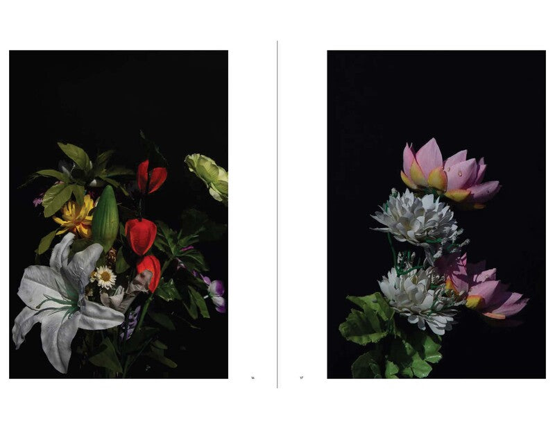 Sakiko Nomura - Tender is the Night