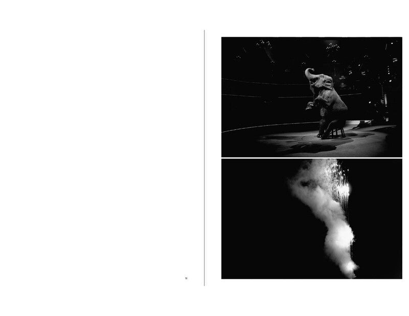 Sakiko Nomura - Tender is the Night