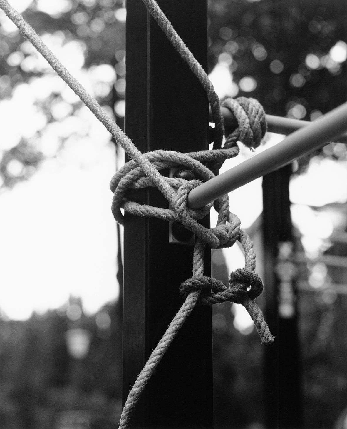 Marine Peixoto -  Bercy Street Workout