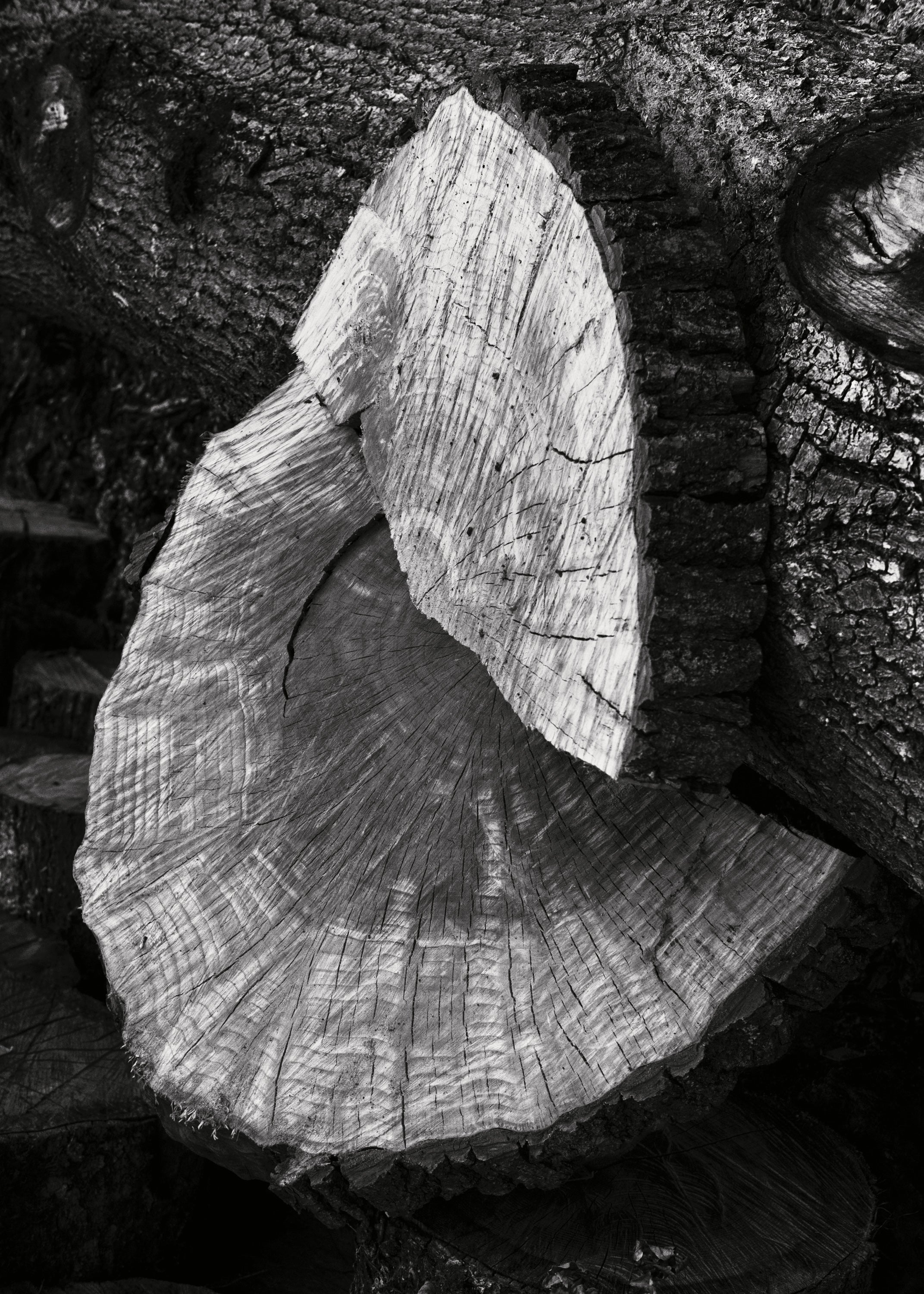 Grégoire Eloy - Third Nature