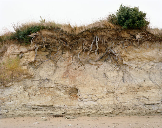Aurore Bagarry - From the coast