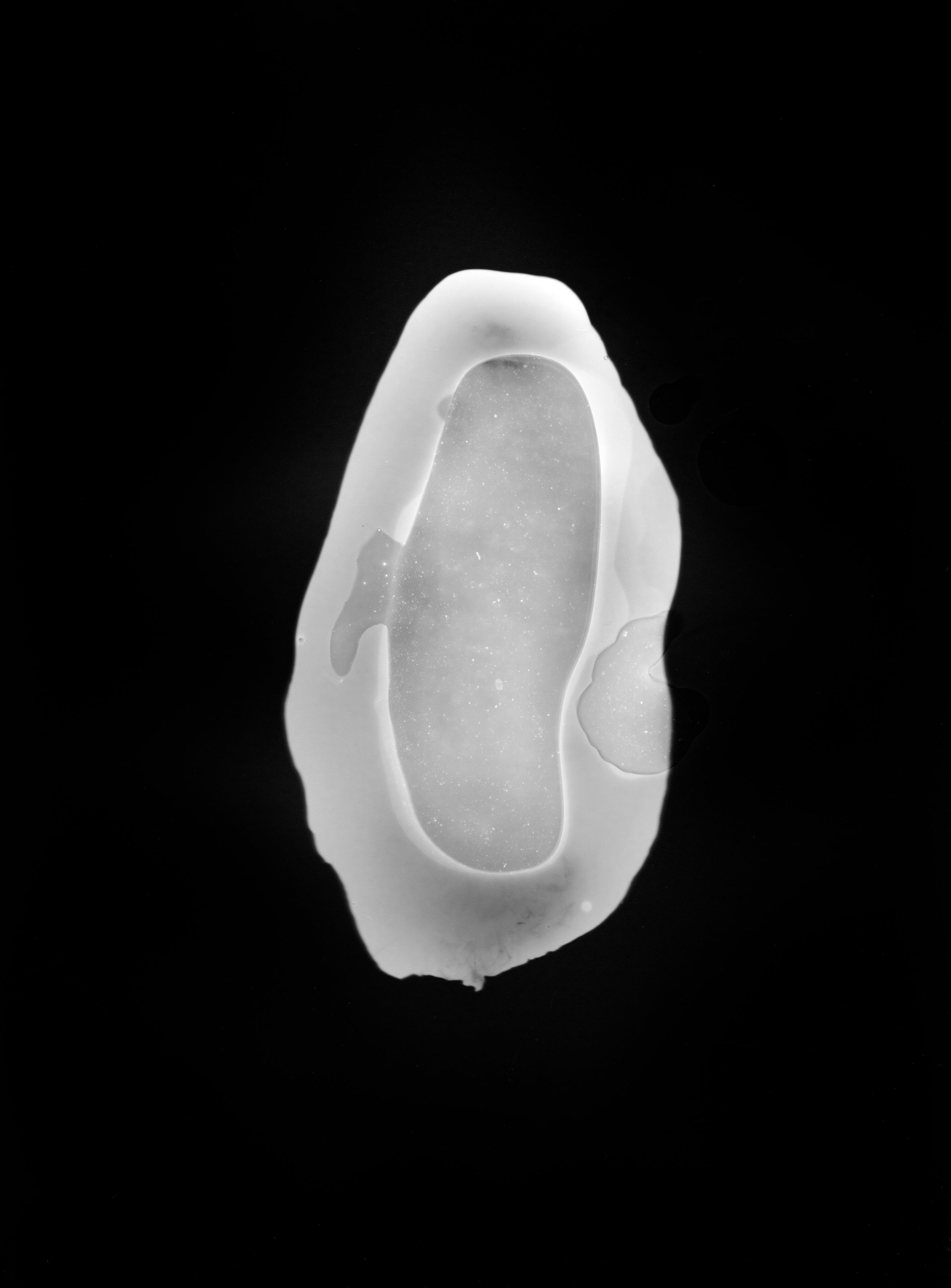 Grégoire Eloy - Third Nature