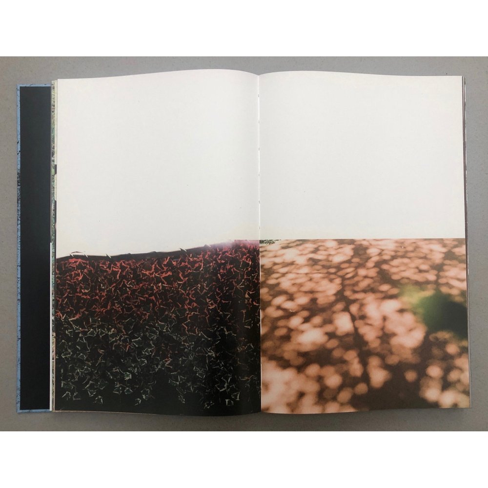 Yoko Ikeda - Contrepoint