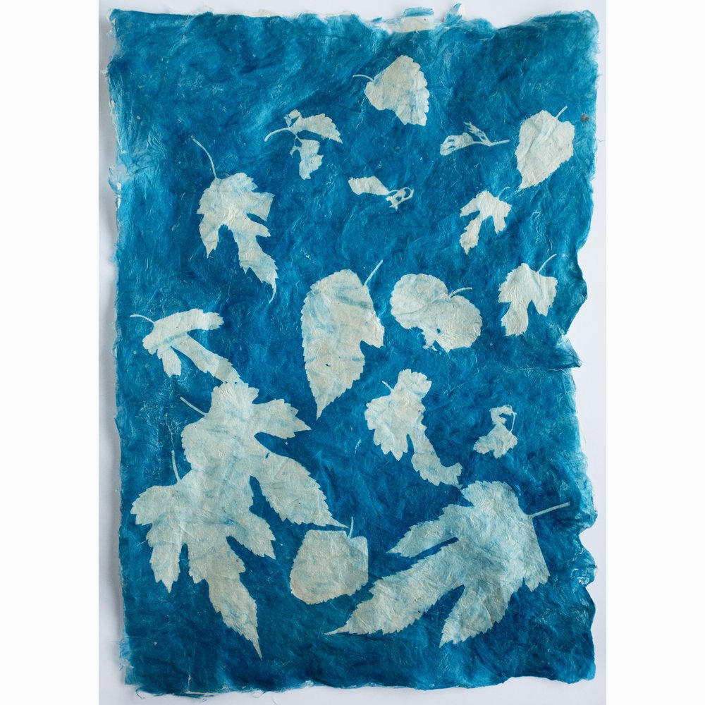 Mika Horie - Air, Flowers and Colours