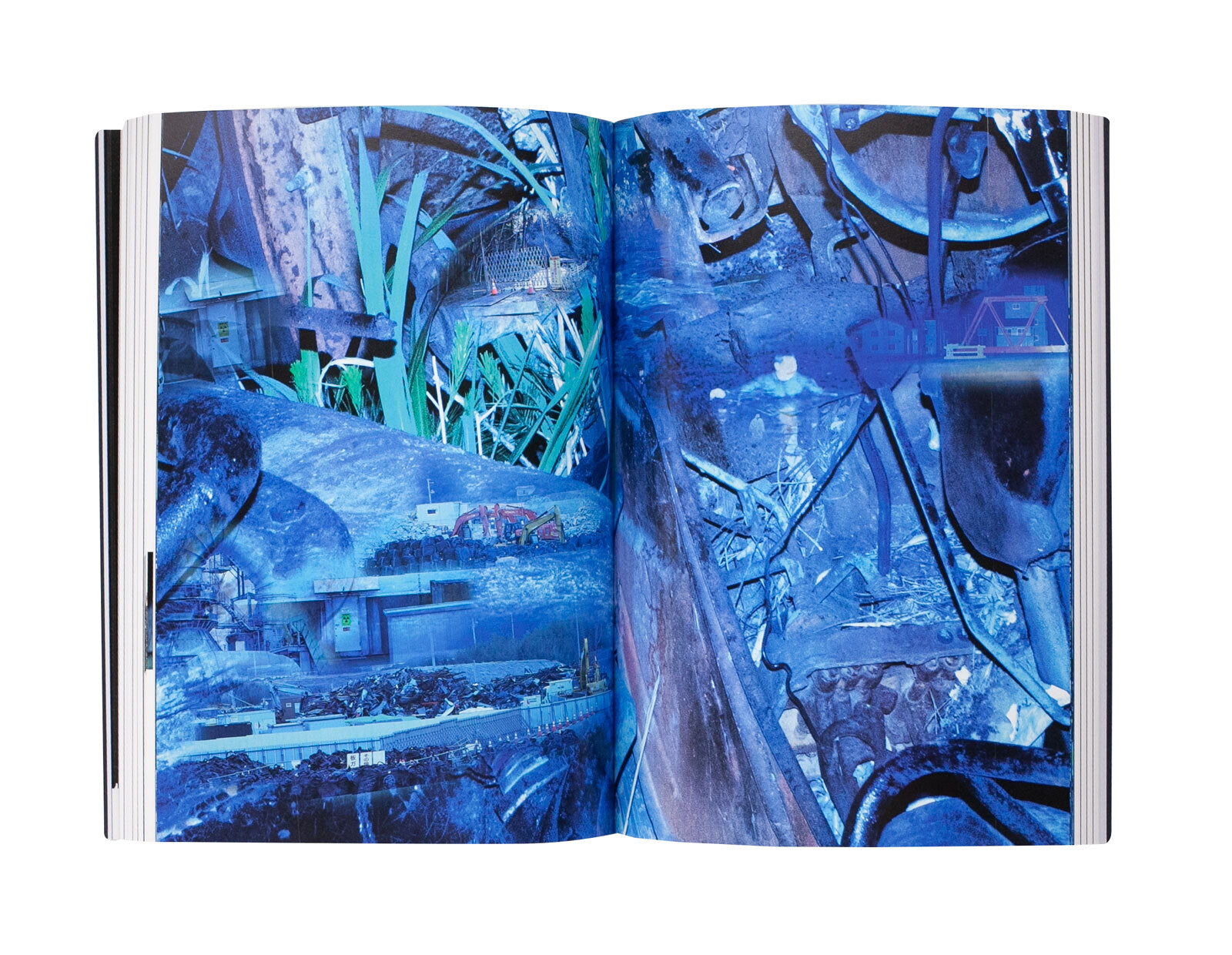 Replicas 11.03.11. Japanese photographers face the cataclysm