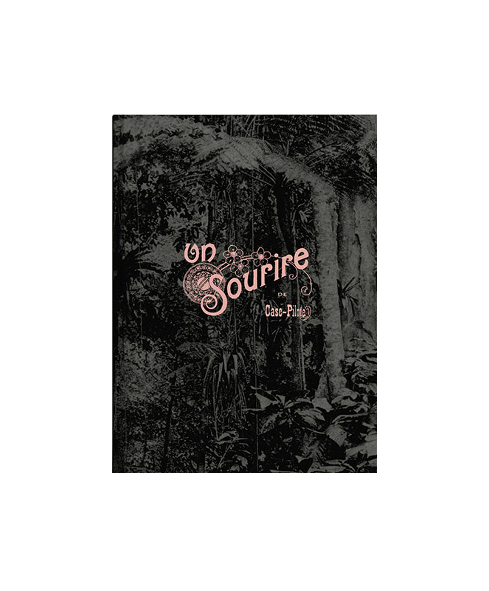 Marie Mons - Un Sourire de Case-Pilote