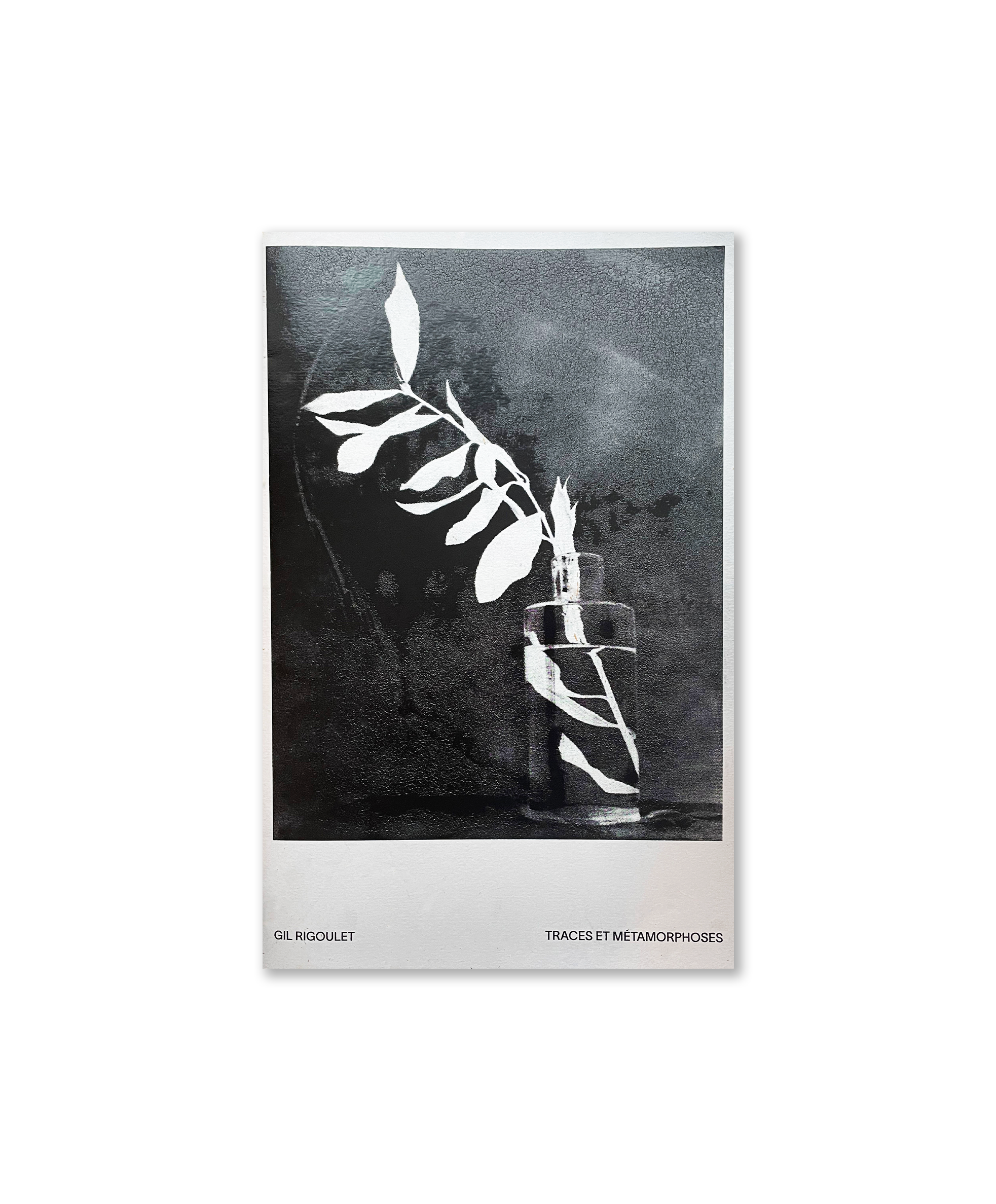 Gil Rigoulet - Traces et métamorphoses