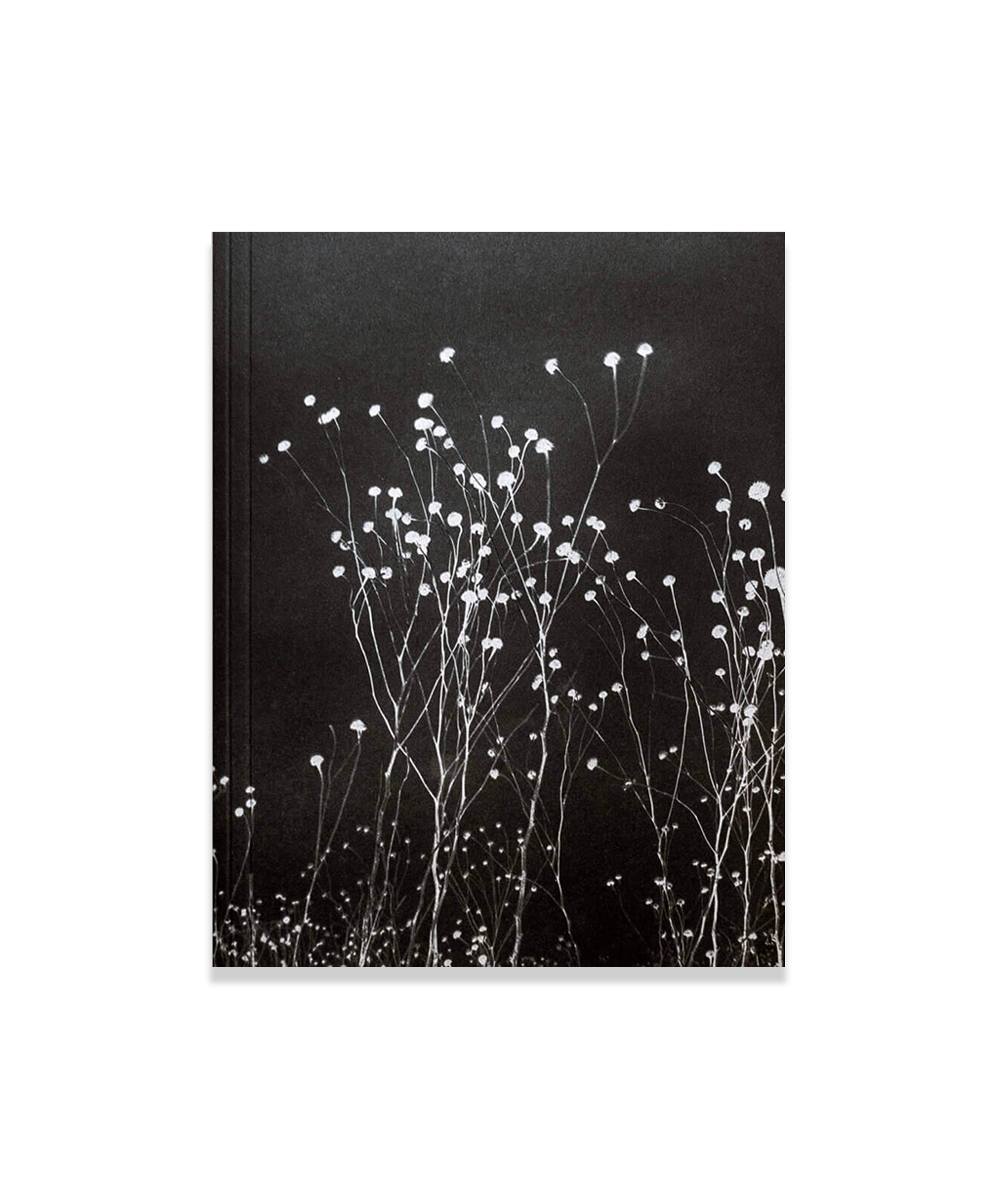 Léonard Pongo - The Uncanny