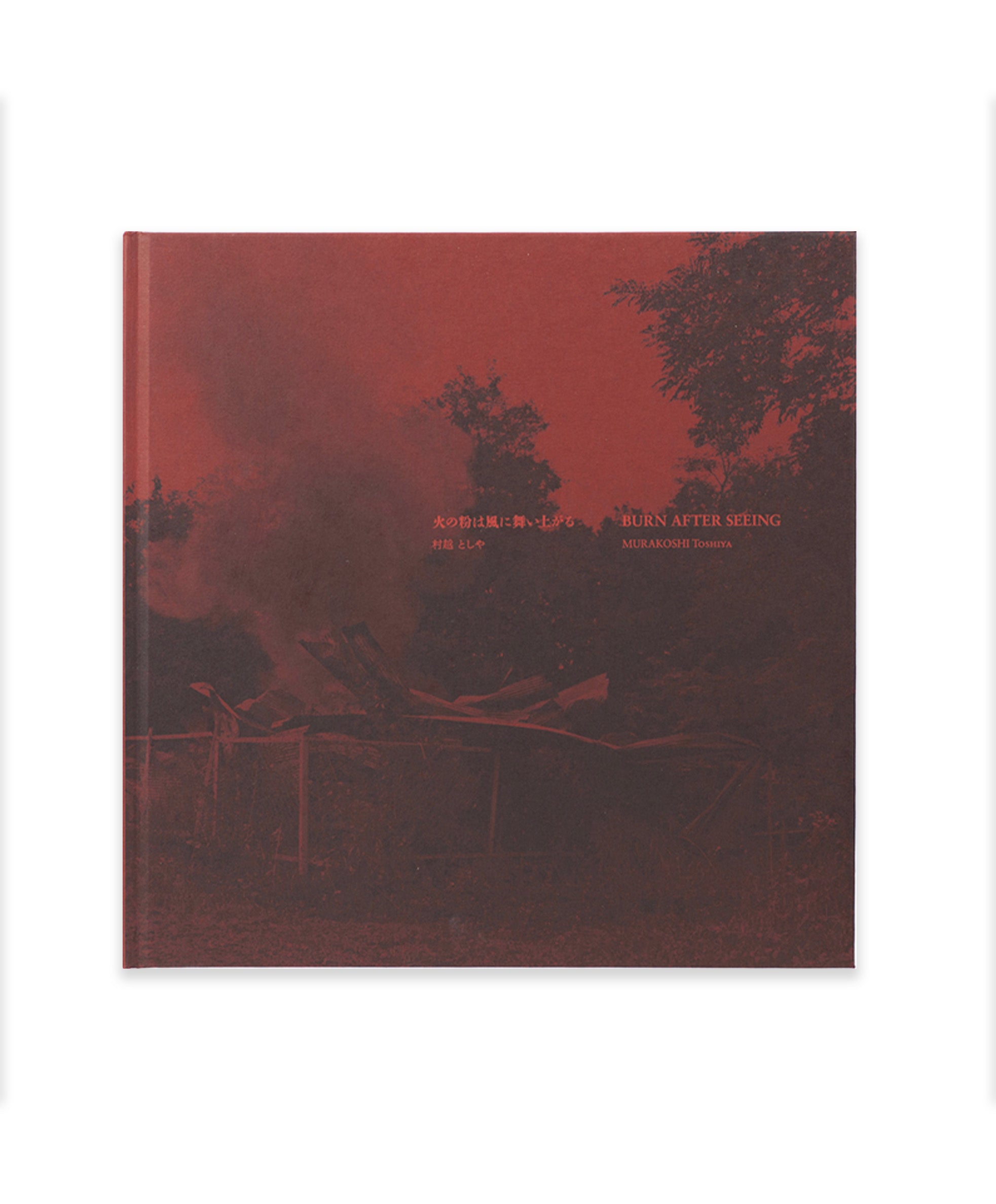 Toshiya Murakoshi - Burn After Seiing