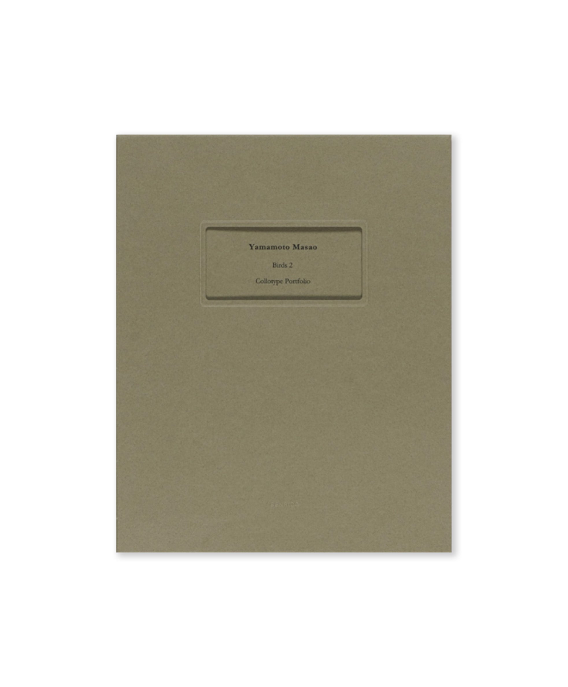 Masao Yamamoto - Birds 2