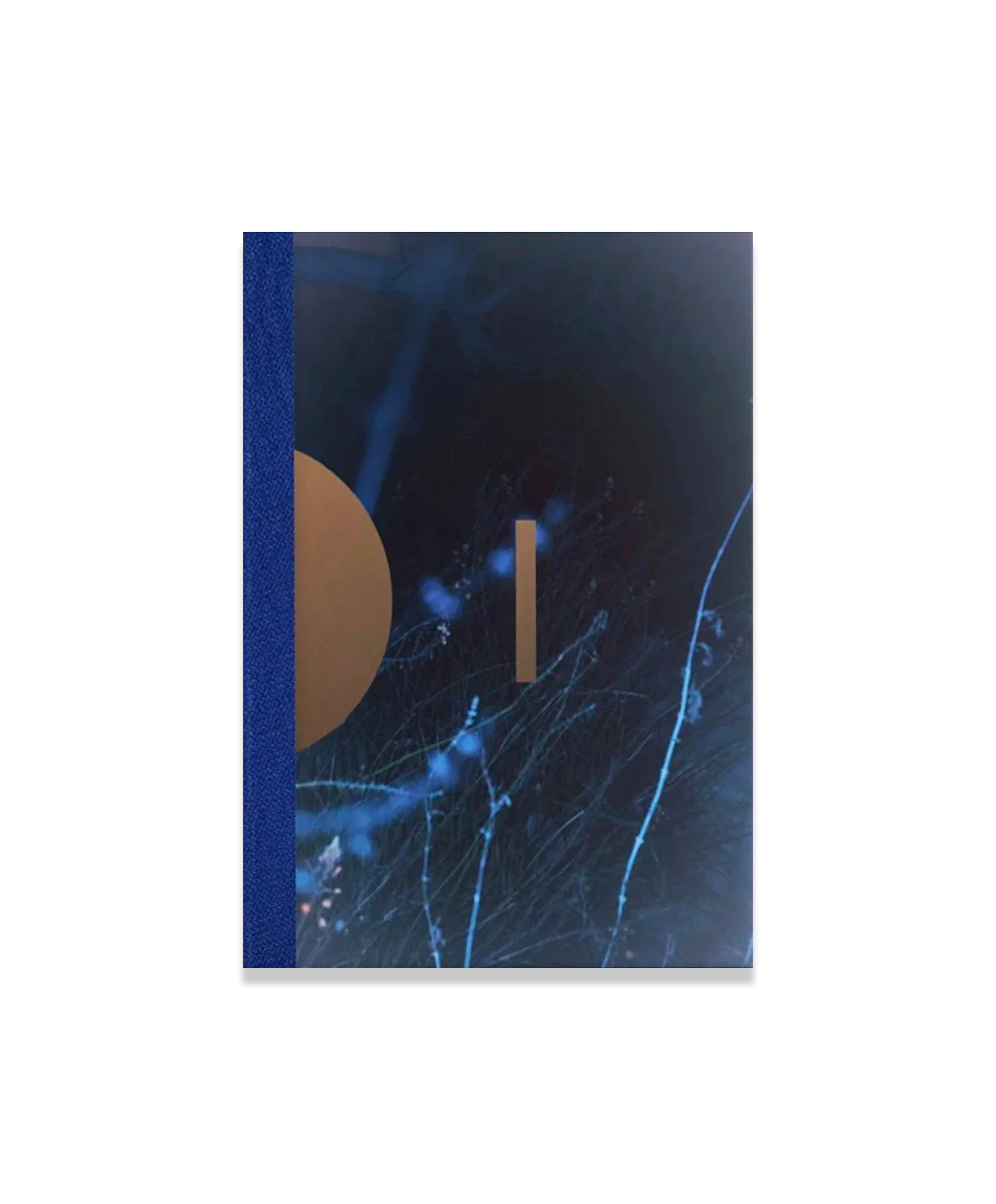 Paul Cupido - Drifting Stones (signed)