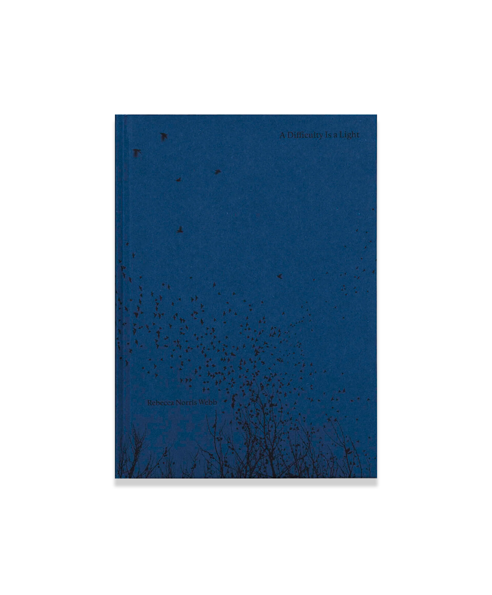 Rebecca Norris Webb - A difficulty is a Light