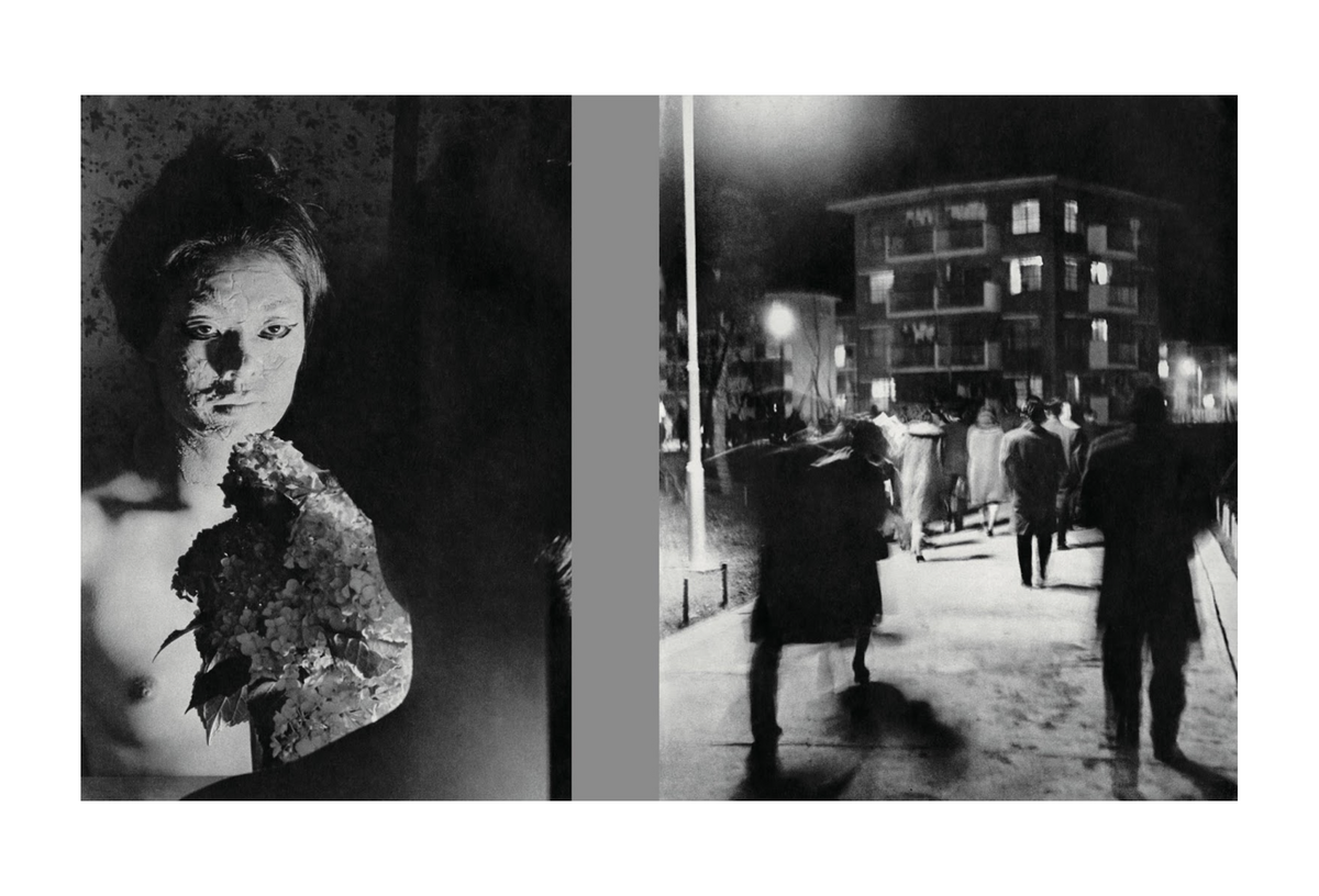 Masahisa Fukase - Homo Ludens