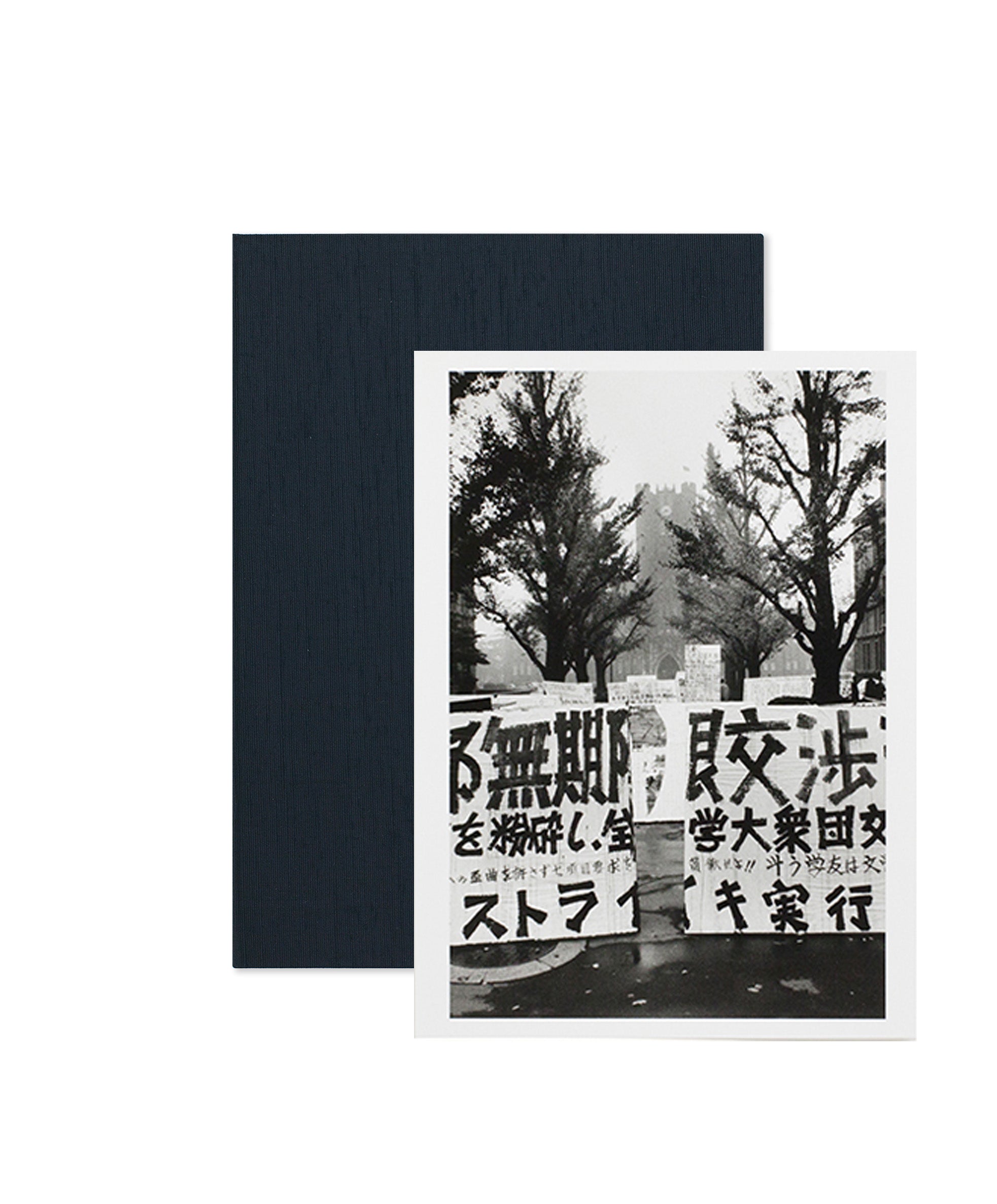 Takashi Hamaguchi Special Box