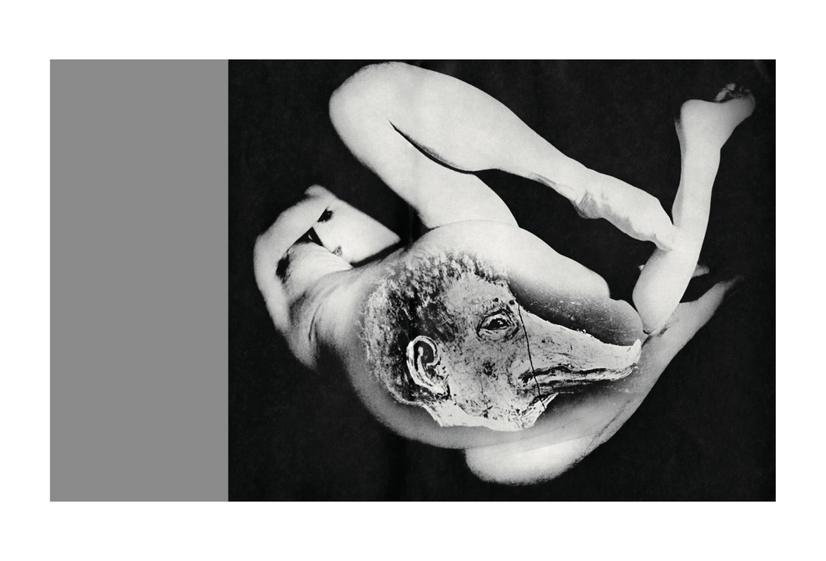 Masahisa Fukase - Homo Ludens