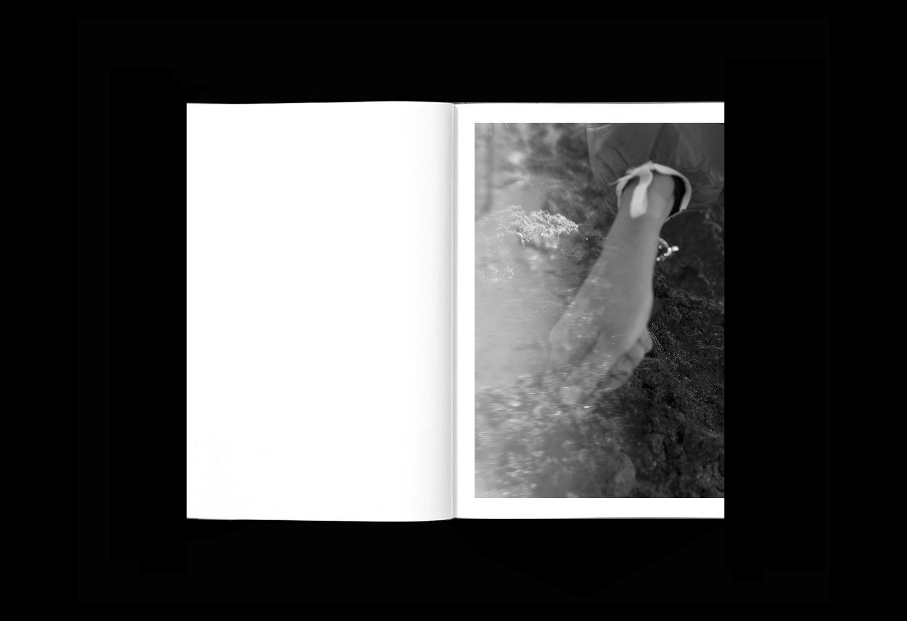 Alice Pallot - Algues maudites, a Sea of Tears