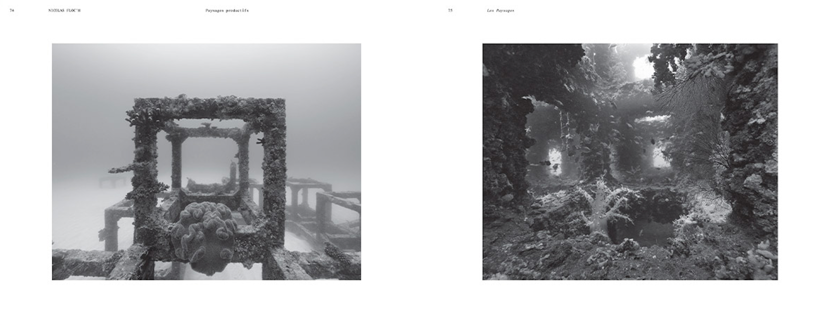 Tara, the artists reveal the ocean