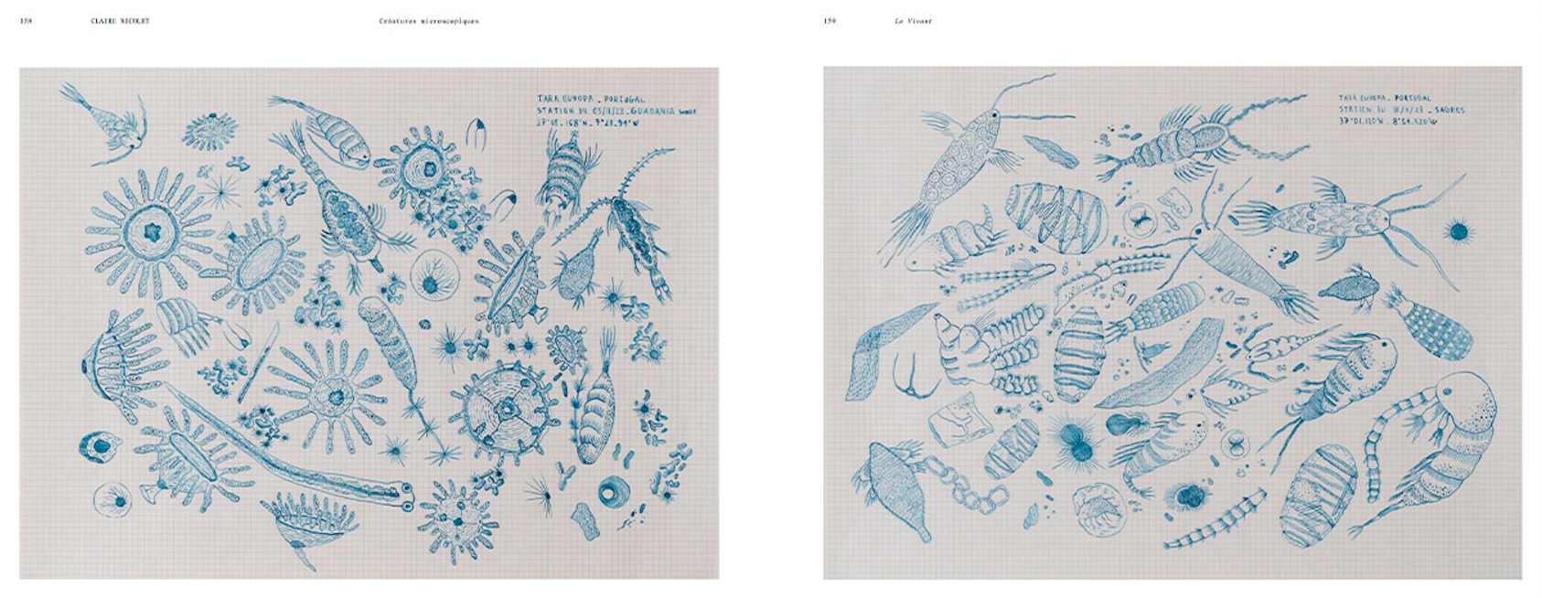 Tara, the artists reveal the ocean