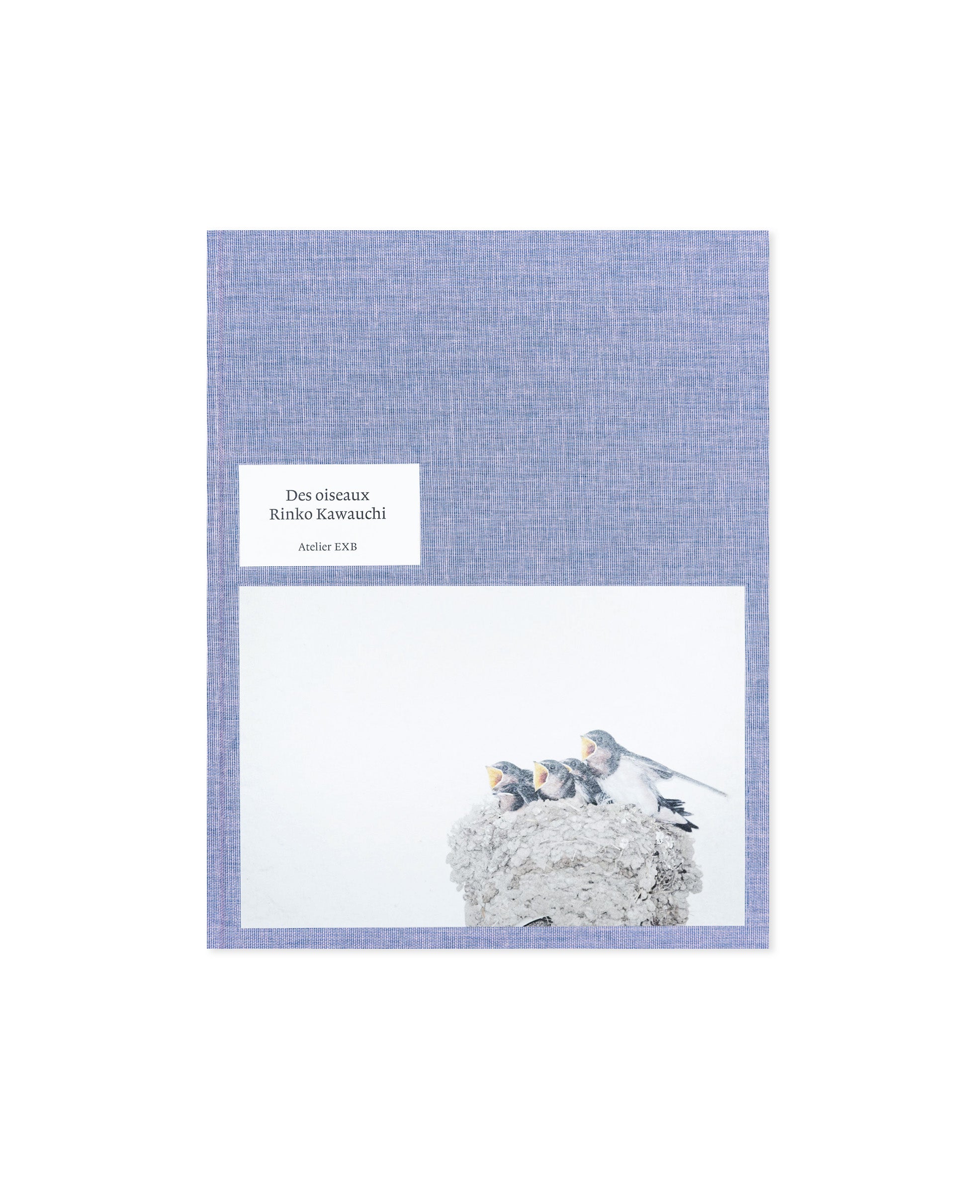 Rinko Kawauchi - Des oiseaux