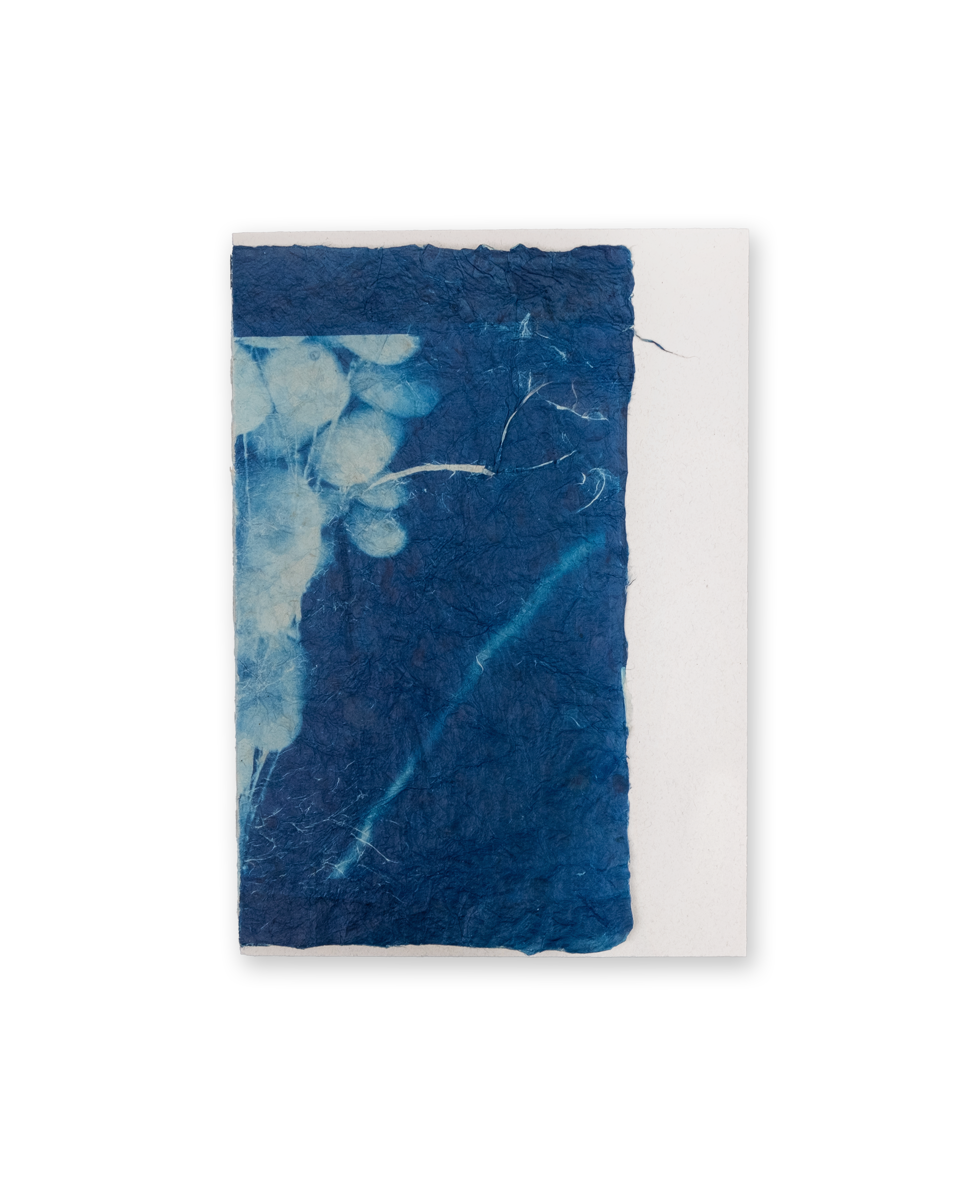 Mika Horie - Air, Flowers and Colours