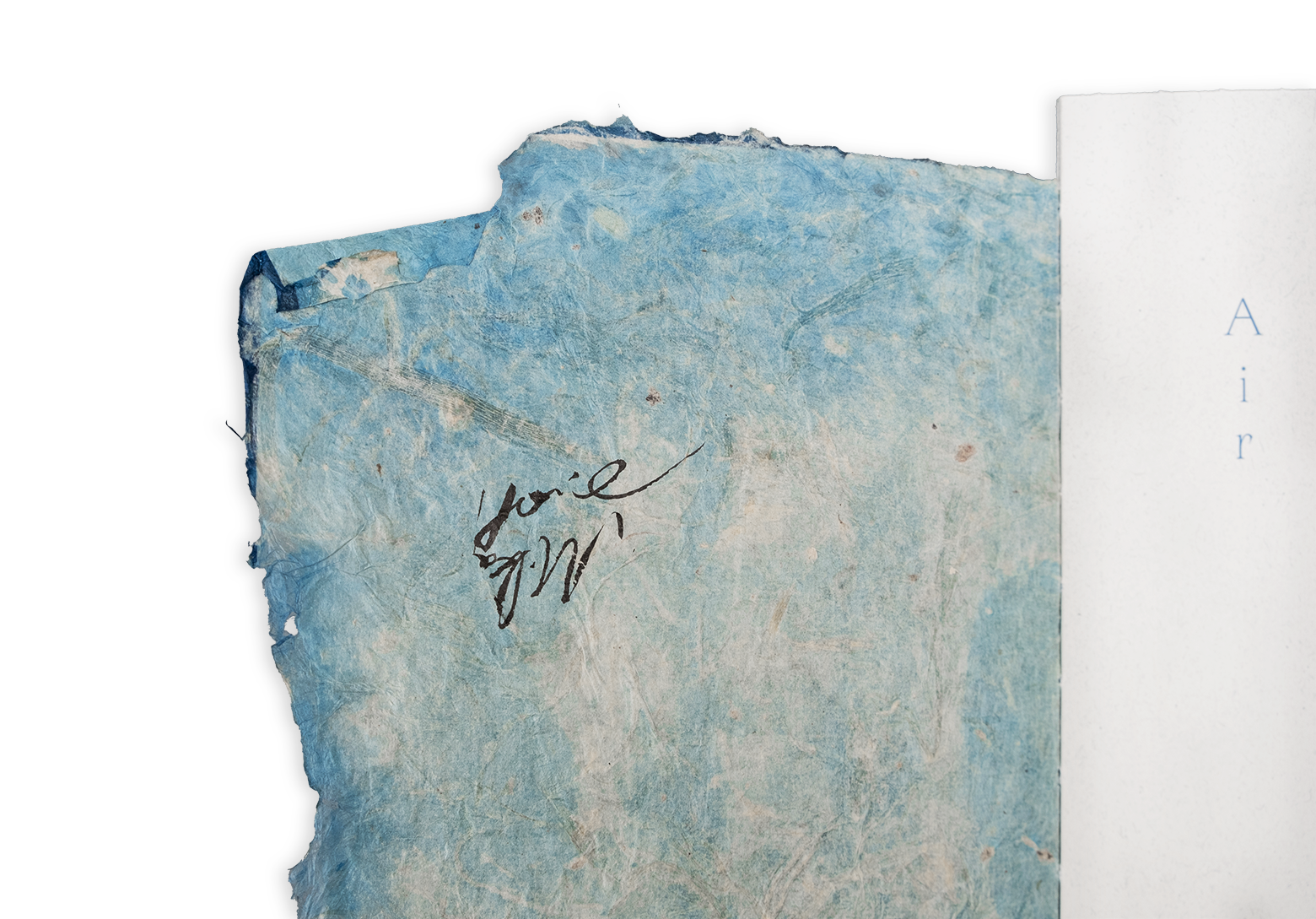 Mika Horie - Air, Flowers and Colours