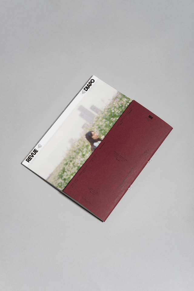 Kanade Hamamoto - Revue Diapo n°003