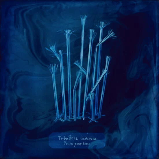 Manon Lanjouère - The Particles