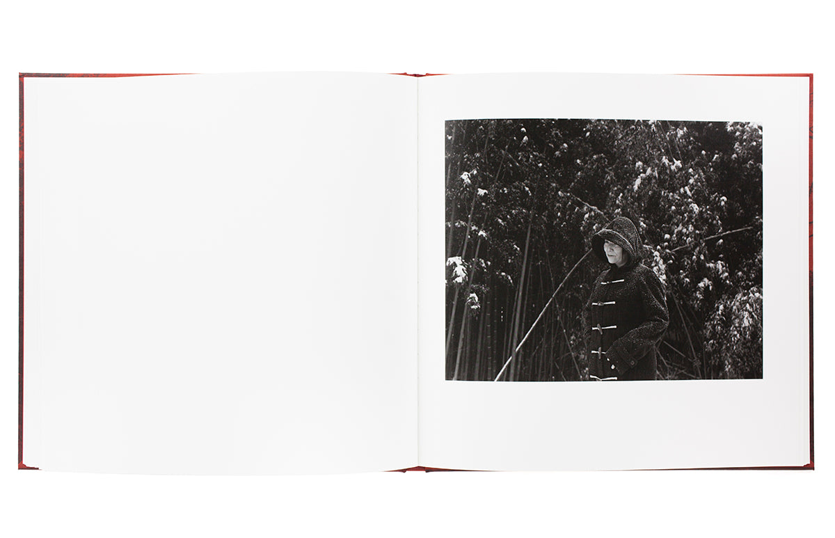 Toshiya Murakoshi - Burn After Seiing