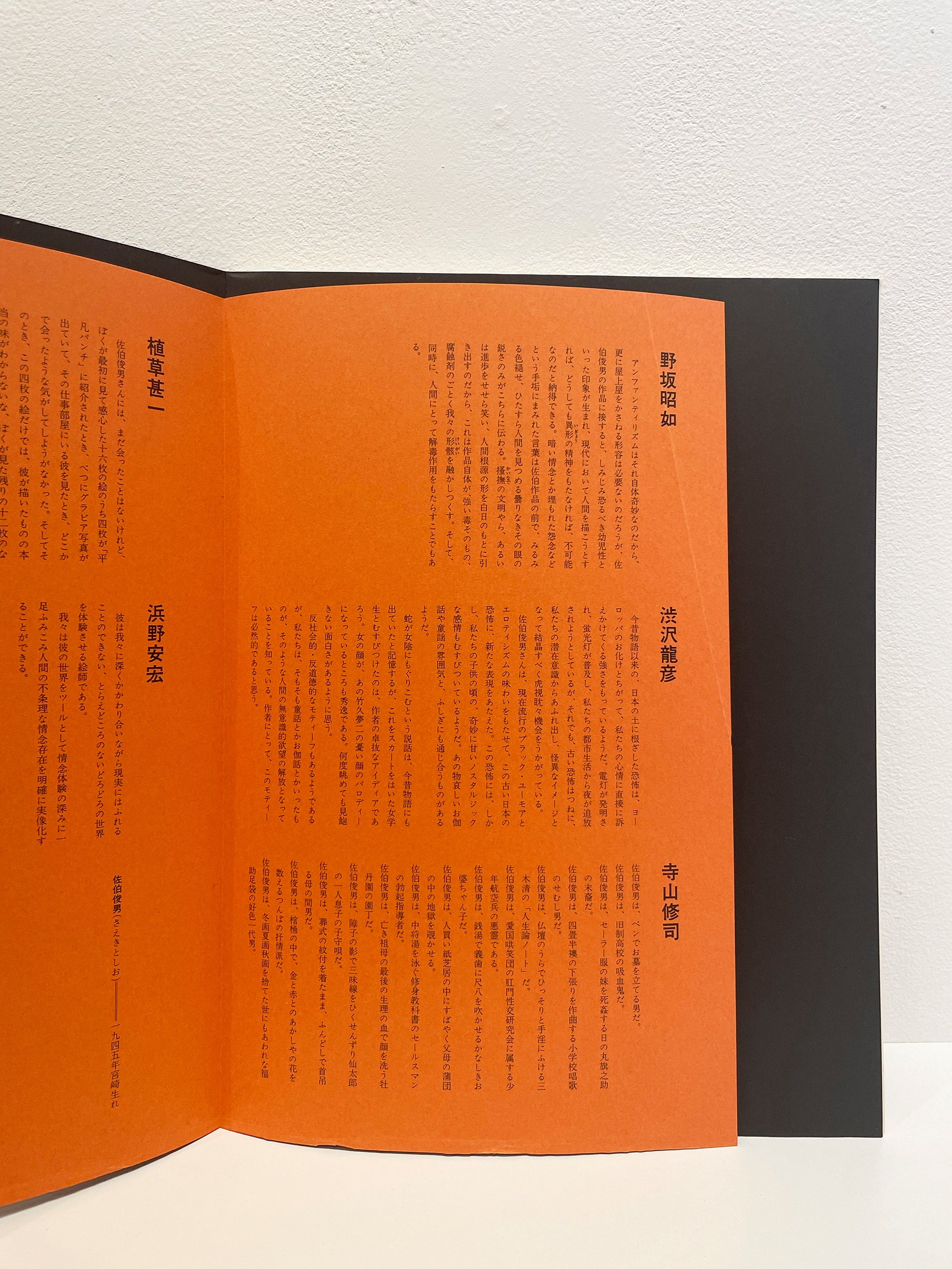 Toshio Saeki - Toshio Art Book