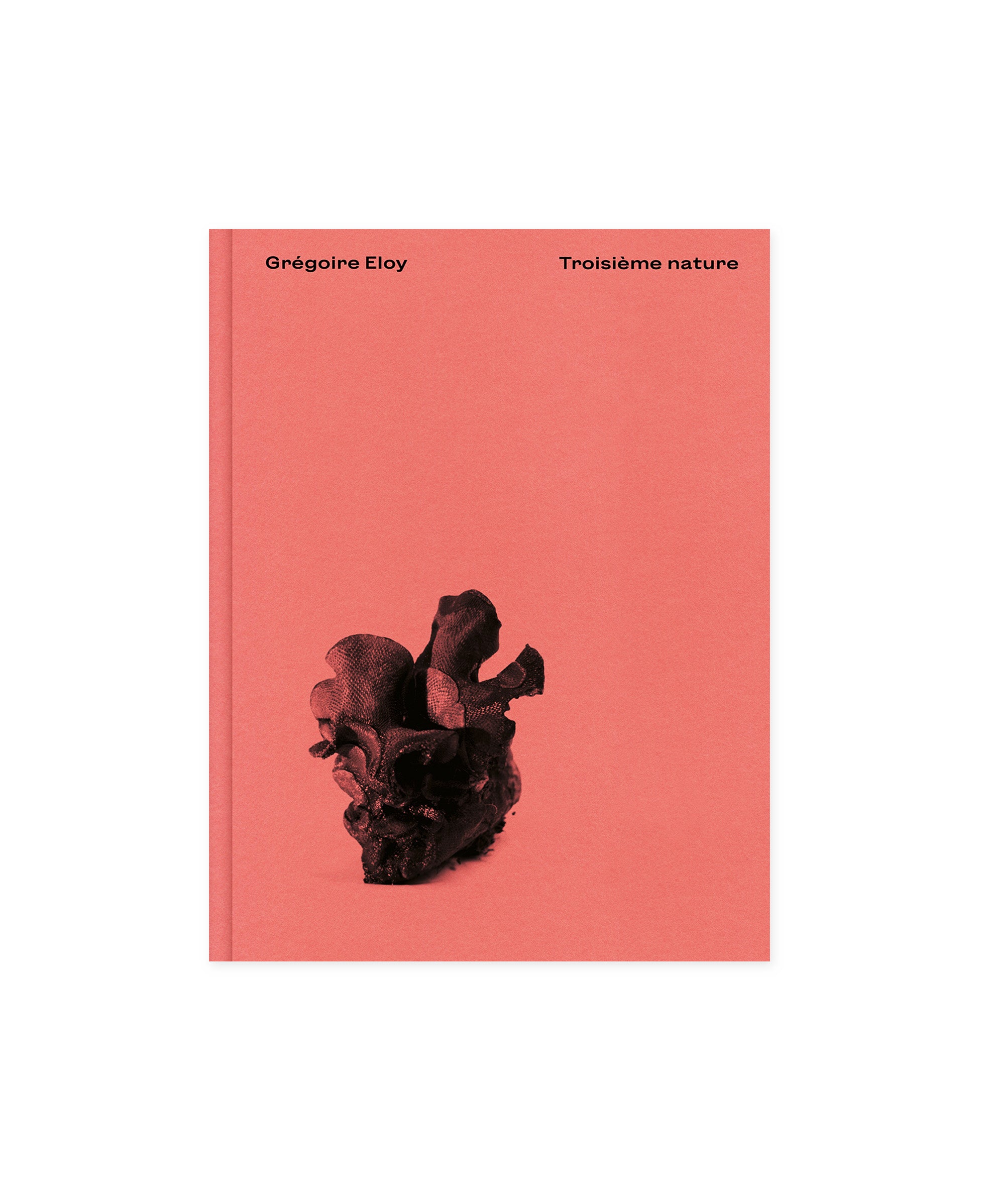 Grégoire Eloy - Troisième nature