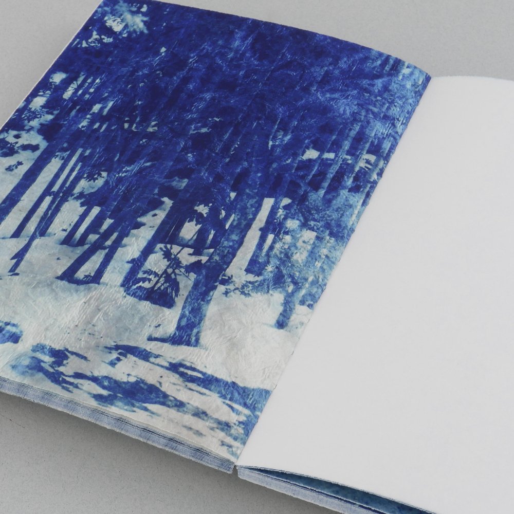 Mika Horie - Air, Flowers and Colours