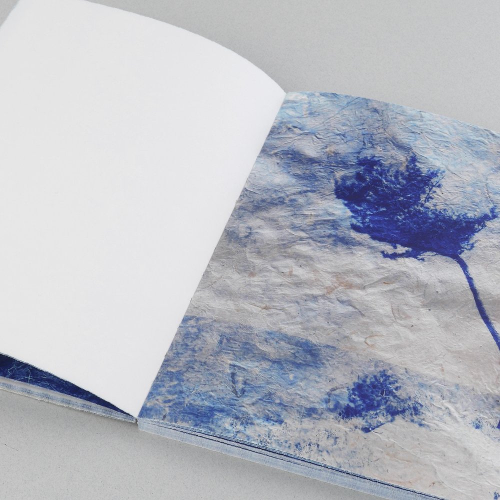 Mika Horie - Air, Flowers and Colours