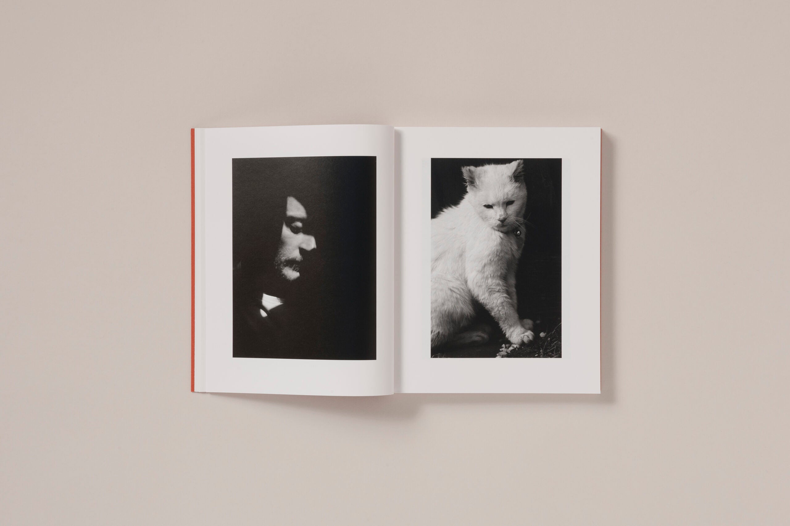 Katrin Koenning - Between the skin and sea