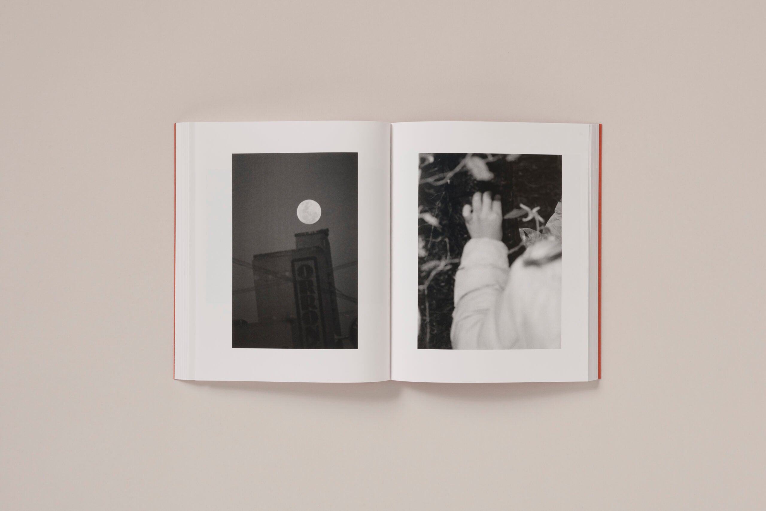 Katrin Koenning - Between the skin and sea