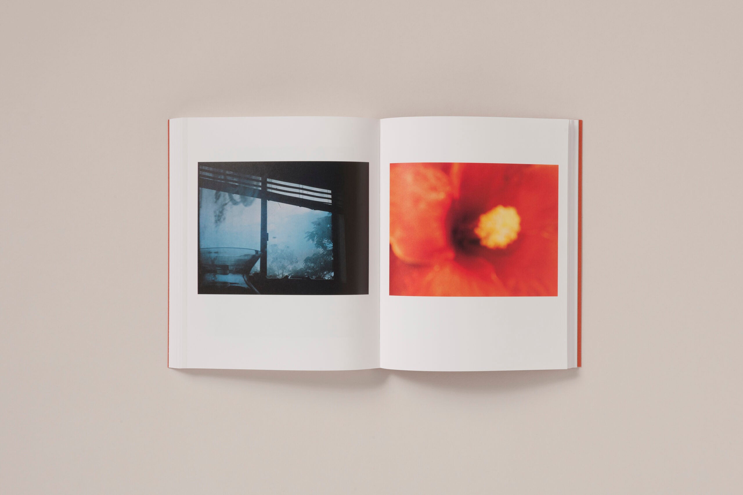 Katrin Koenning - Between the skin and sea