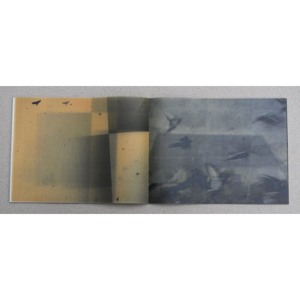 MIHO KAJIOKA _SO IT GOES SO IT GOES