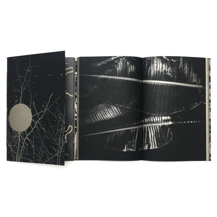 PAUL CUPIDO - MUYAKU