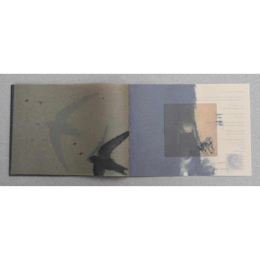 MIHO KAJIOKA _SO IT GOES SO IT GOES