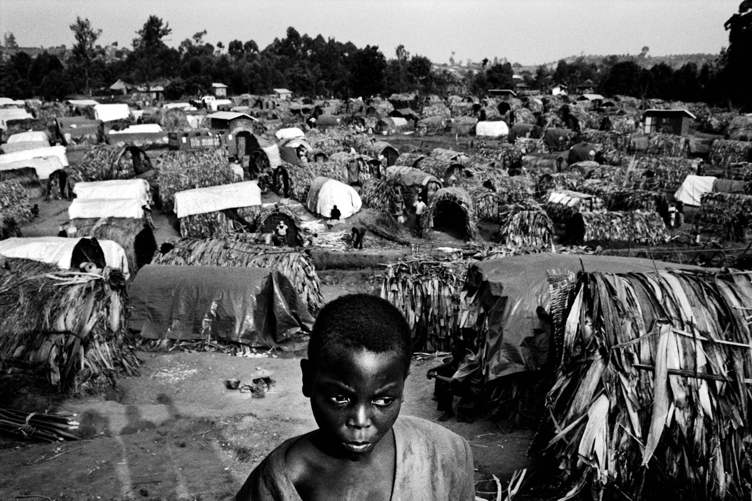 CEDRIC GERBEHAYE - CONGO IN LIMBO