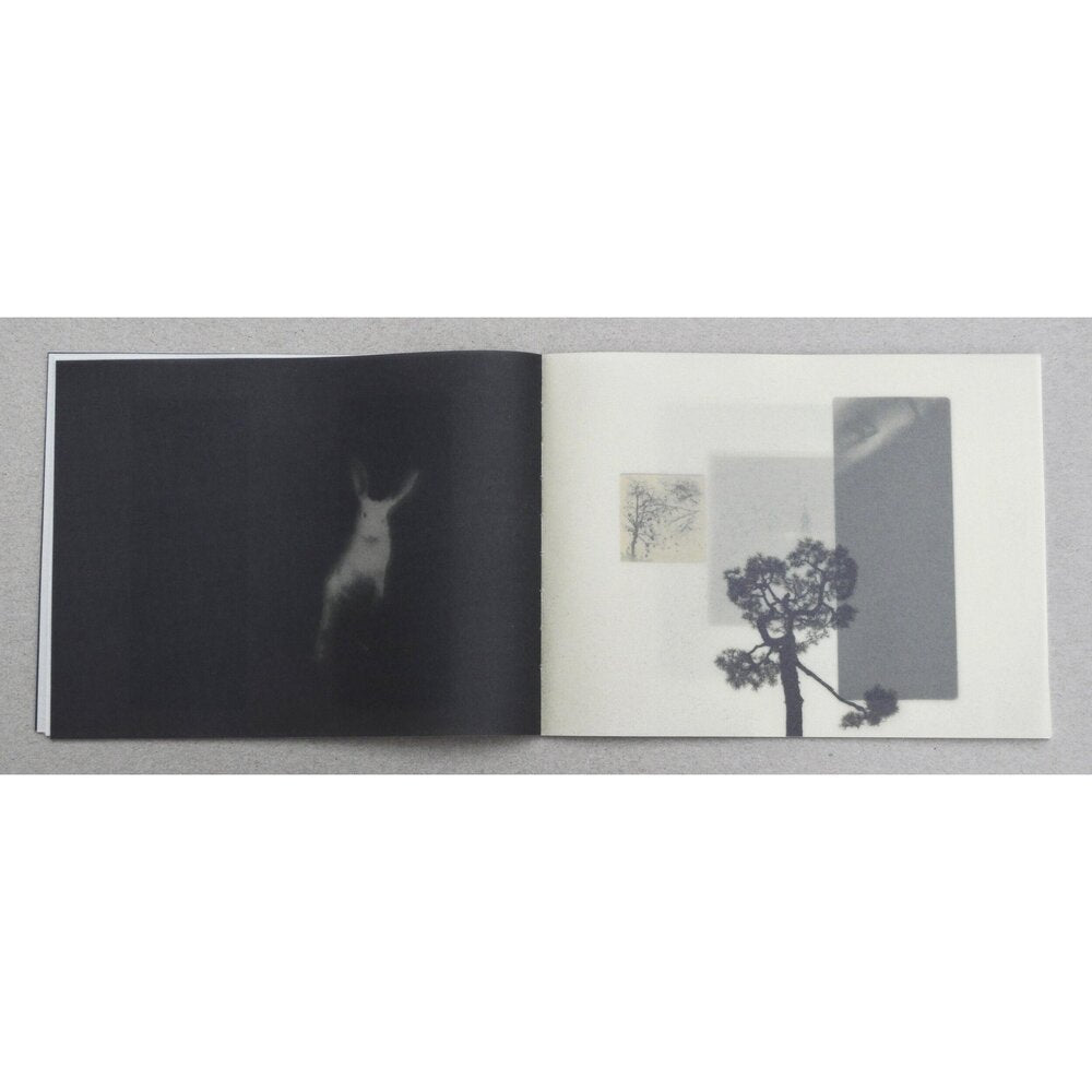 MIHO KAJIOKA _SO IT GOES SO IT GOES