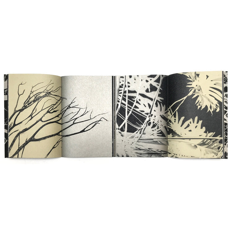 PAUL CUPIDO - MUYAKU