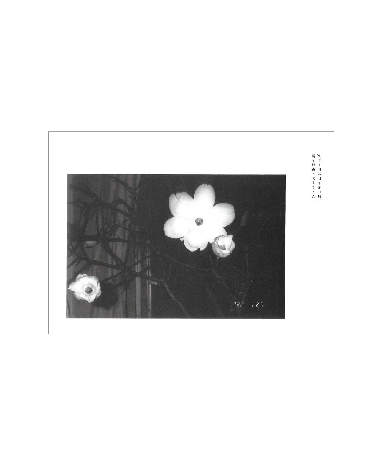 ARAKI NOBUYOSHI - Sentimentaru na Tabi: Fuyu no Tabi (1991)