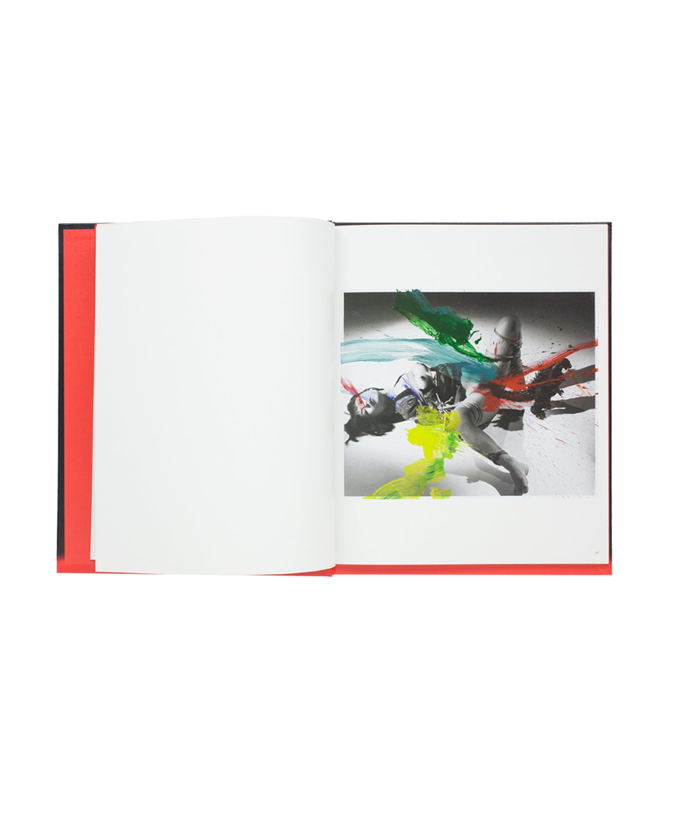 ARAKI NOBUYOSHI - KOSHOKU PAINTING