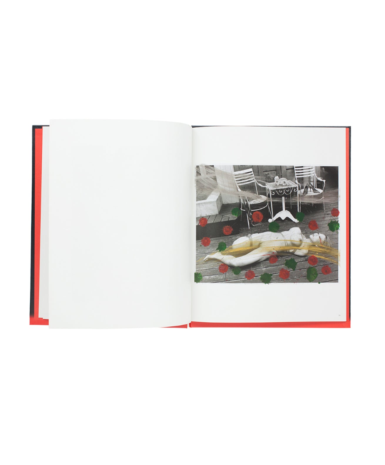 ARAKI NOBUYOSHI - KOSHOKU PAINTING