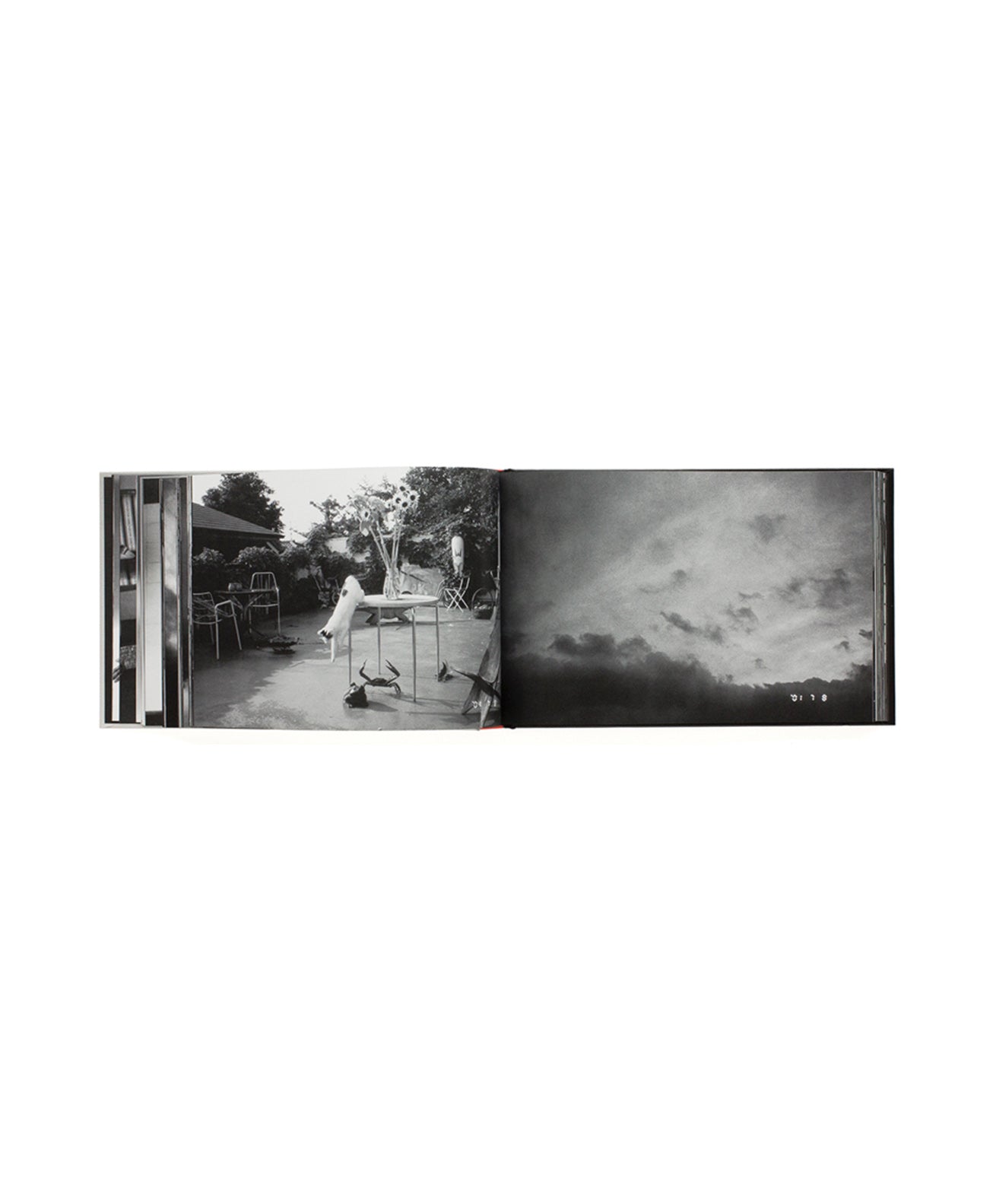 Nobuyoshi Araki - Kyonen (Last Year)