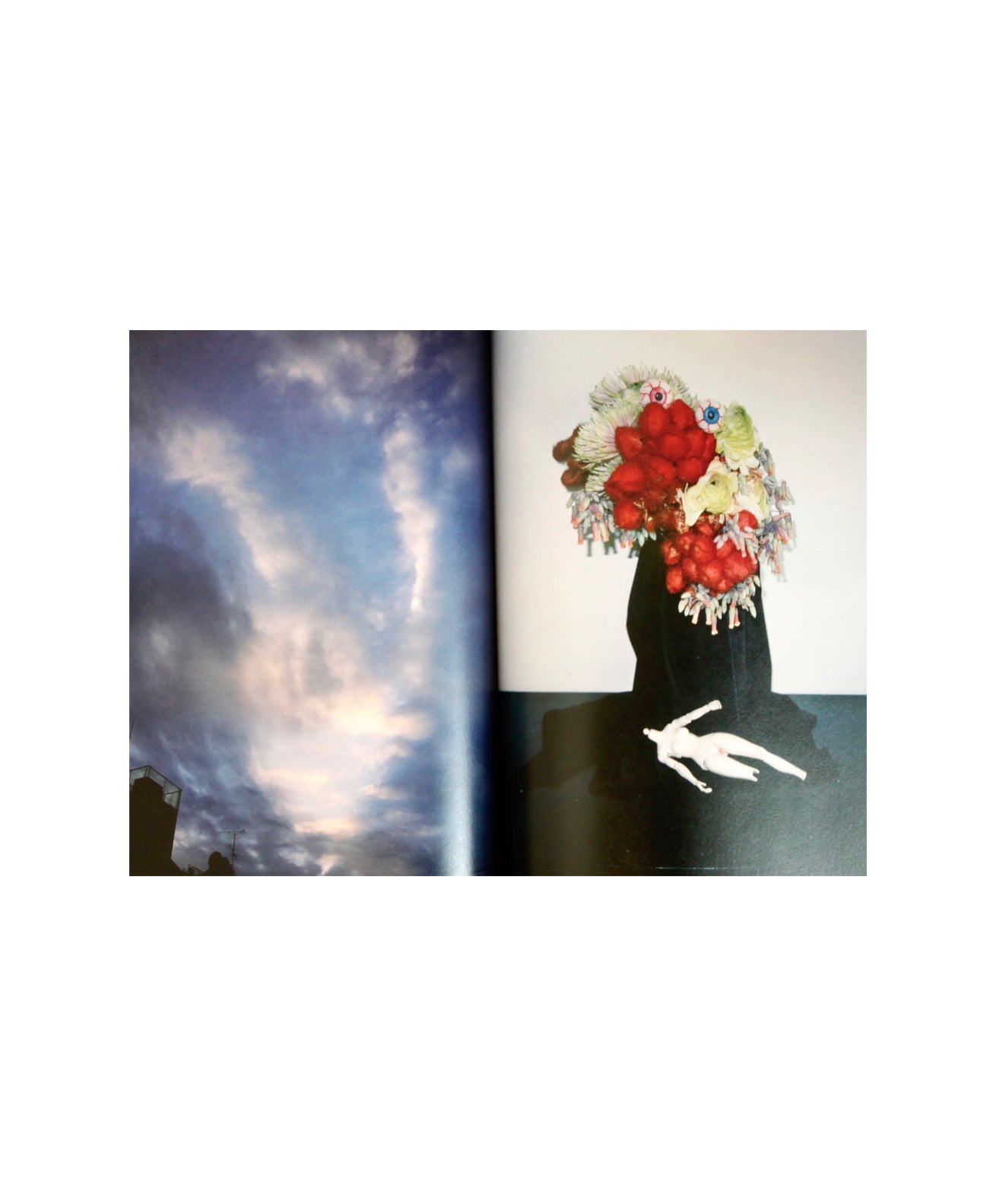 Nobuyoshi Araki - Photographoary: Photo-Mad Old Man A Turning 77 on 5.25.17