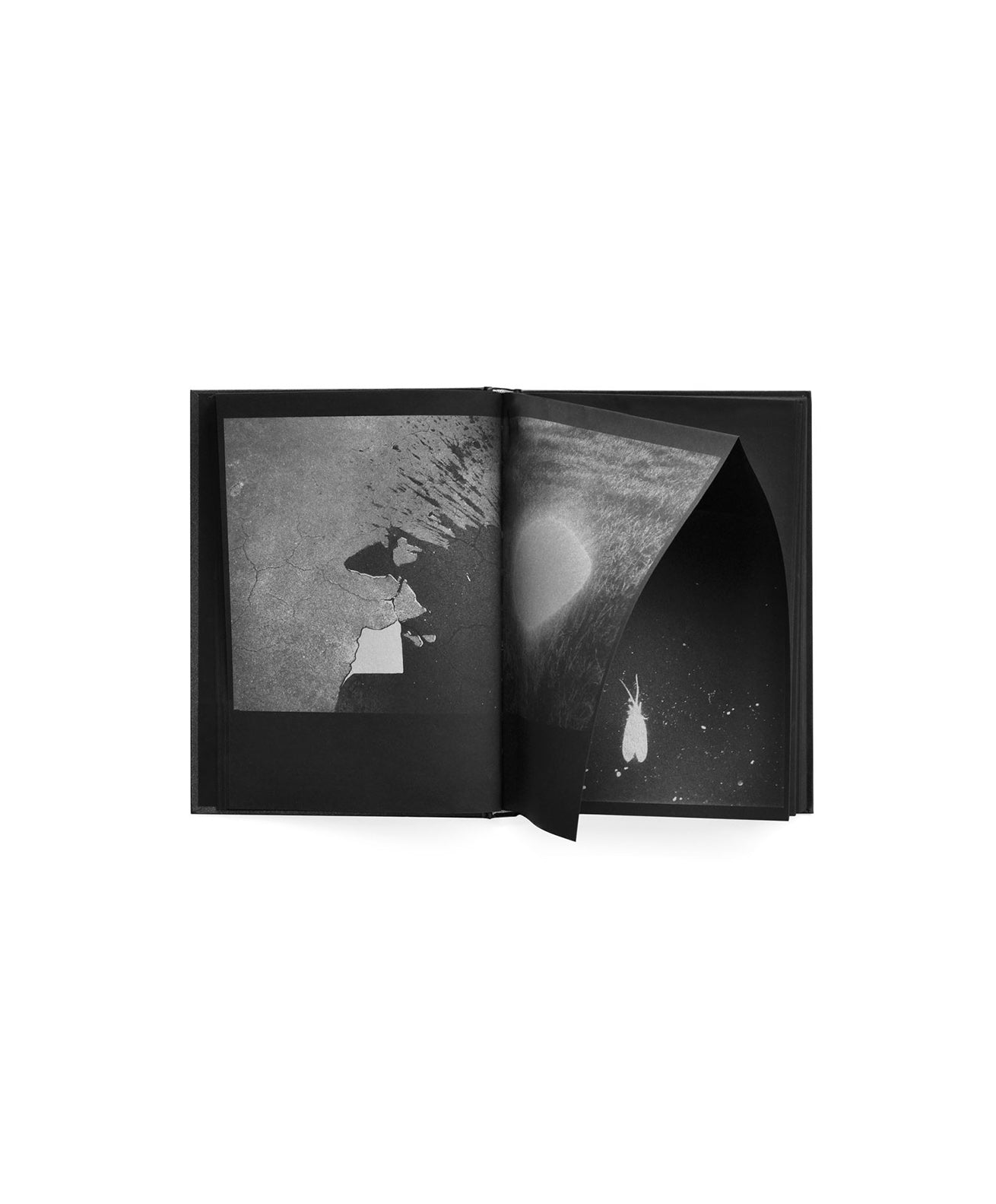 KATRIN KOENNING & SARKER PROTICK - Astres Noirs (SPECIAL EDITION)