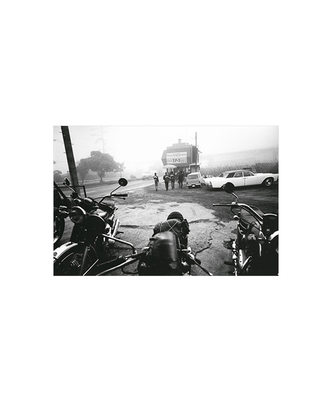 BISHIN JUMONJI - FUJISAKI (SIGNED)