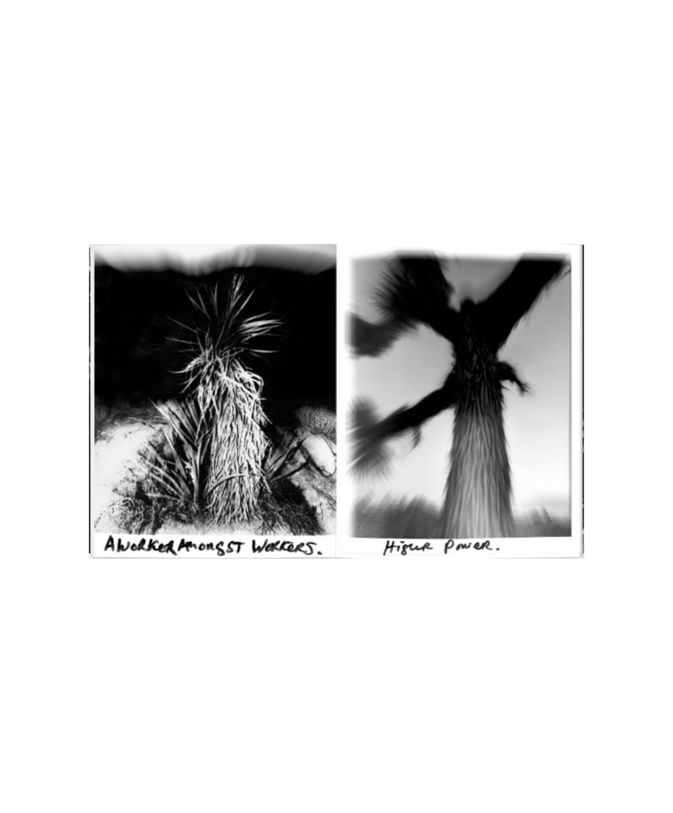 Chris Shaw - Horizon Icons